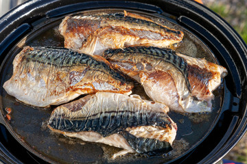 fertig gegrillte Makrelenfilets