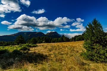 Naklejka premium Vistas a Lakartxela durante la subida al monte Txamantxoia
