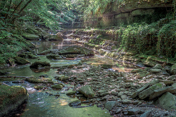 Narrow creek in the Northern Apennines. Palazzuolo sul Senio, Florence province, Tuscany, Italy