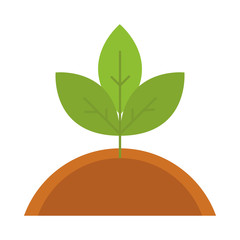 agriculture and farming growth plant ground flat icon style
