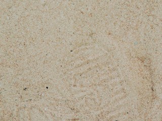 texture of sand