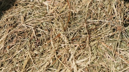 Close-up of a hay on farm The hayloft Dry grass
