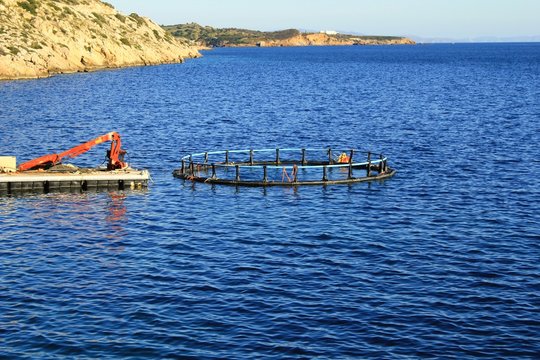 Aquaculture settlement, fish farm with floating circle cages around bay of Attica in Greece.