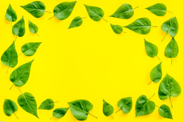 Frame of green leaves. Nature background layout. Top view