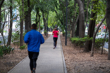 Park island in the middle of Avenida Amsterdam, in Condesa, Mexico City