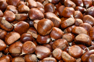 Full frame of natural chestnuts as backdrop
