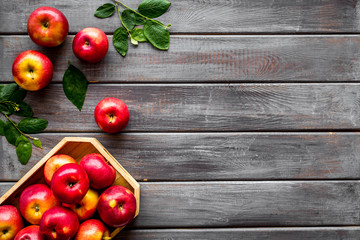 Group of red apples in wooden tray with leaves. Autumn harvest