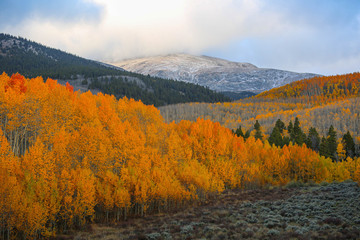 autumn landscape in mountains