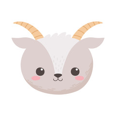 cute little goat face animal cartoon isolated white background design