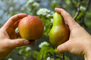 Äpfel mit Birnen vergleichen