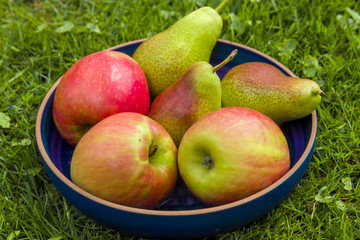 Äpfel mit Birnen vergleichen