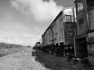 Old railway rolling stock and track