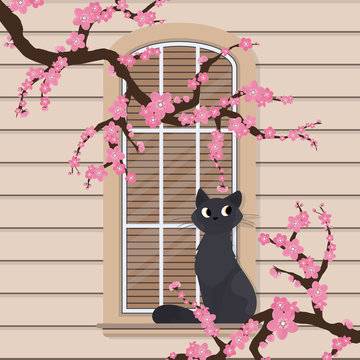 The cat is sitting on the window. Semicircular window with flowers in a flat style. Window with shutters. Vector.