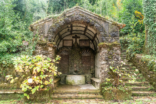 Amazing, old park in Serra de Bussaco, Portugal