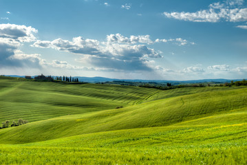 beau paysage de colline en  Toscane en Italie au printemps avec champ de blé