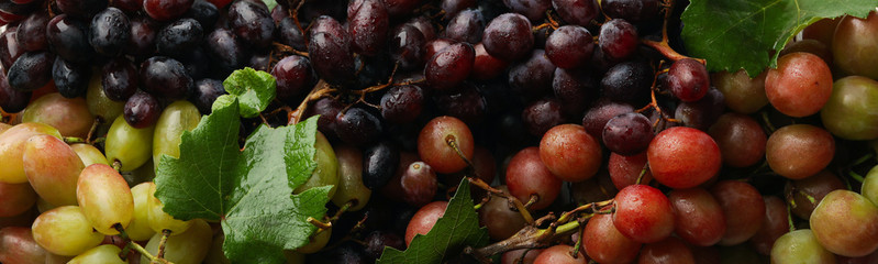 Fresh ripe grape on white wooden background