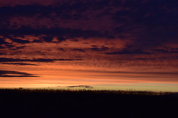 Fototapeta na wymiar sunset on the plain (source)