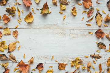Autumn Leaves On White Wooden Planks - 372967053