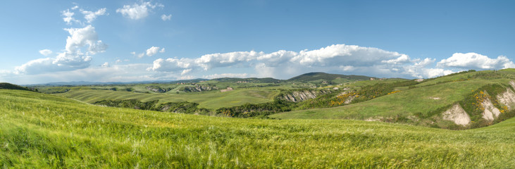 beau paysage de colline en  Toscane en Italie au printemps avec champ de blé