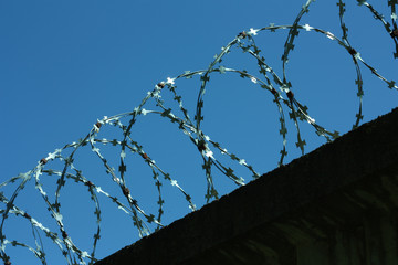 Barbed wire in the blue sky. metal fence. Danger zone. Acute distress.