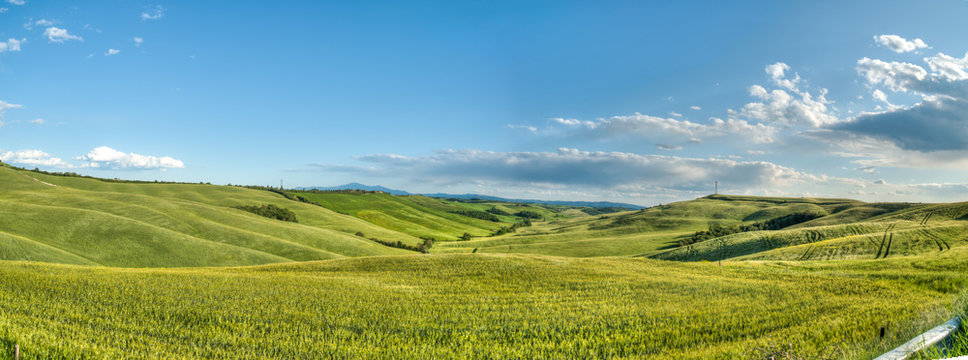 beau paysage de colline en  Toscane en Italie au printemps avec champ de bl&eacute;