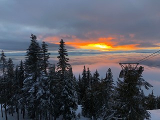 Snowy Forest Sunset