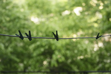 barbed wire fence