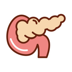 human body pancreas anatomy organ health line and fill icon