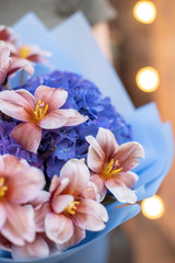 Beautiful bouquet of blue hydrangea and brownie tulips in woman's hands. The work of the florist at a flower shop. Beautiful fresh bouquet of brownie tulips and blue hydrangea. Flowers delivery.