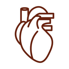human body heart veins anatomy organ health line icon style