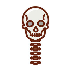 human body skull vertebrae anatomy organ health line and fill icon