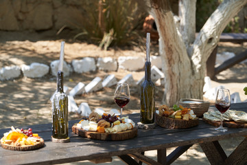 Wine and snack set. Antipasto and catering table