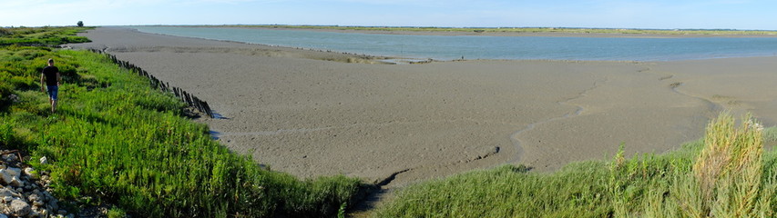 de Mornac à Éguille-sur-Seudre
