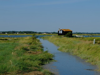 de Mornac à Éguille-sur-Seudre