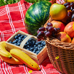 Basket of various fruits in the sunlight on a meadow with yellow flowers.