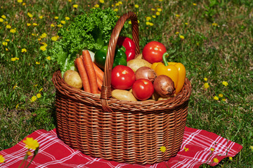 Basket of various vegetables in the sunlight on a meadow with yellow flowers.