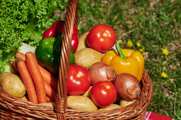 Basket of various vegetables in the sunlight on a meadow with yellow flowers.