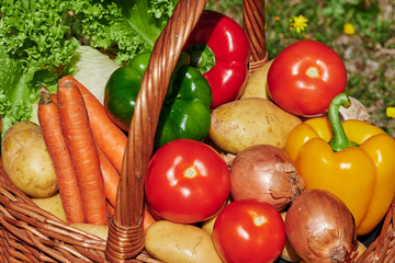 Basket of various vegetables in the sunlight on a meadow with yellow flowers.