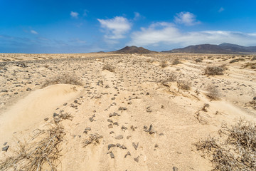 Deserted sandy expanses of the Jandia Peninsula. Fuerteventura. Canary Islands. Spain.