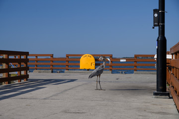 A bird holds on tight to his fresh catch on St. Simons Pier in Georgia. Fisherman often feed fish to the many waiting seabirds patrolling the pier. 