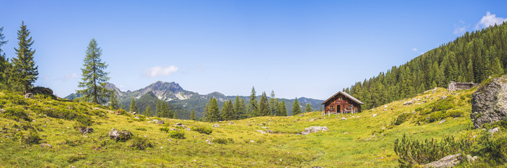 Fototapeta premium Idyllic mountain landscape in the alps: Mountain chalet, meadows and blue sky