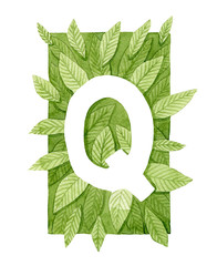 Capital letter Q monogram. White letter on green leaves background. Botanical illustration. Real watercolor. Foliage monogram.