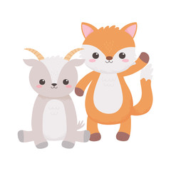 little cute fox and goat cartoon animals isolated white background design