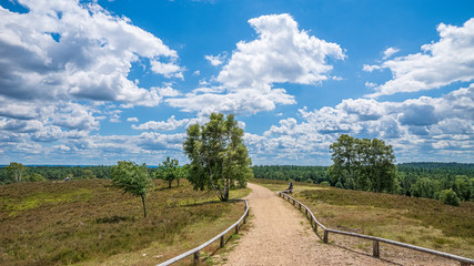 Lüneburger Heide 
