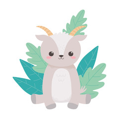 little goat sitting foliage leaves cartoon animal