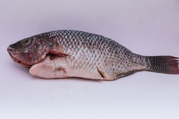 Closeup shot of a raw fish isolated on a white background