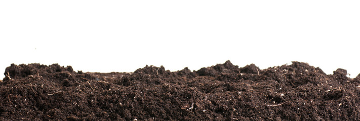 earth soil background on white close-up