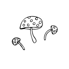 Doodle image of mushrooms. Vector for web, textile, decoration, stickers, halloween holiday. Simple black and white picture.