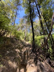 Sentier de randonnée du parc Abel Tasman, Nouvelle Zélande	