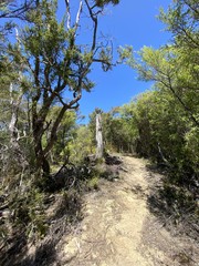 Sentier de randonnée du parc Abel Tasman, Nouvelle Zélande	